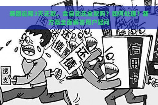 美团逾期3天还款，会自动还全款吗？如何处理？新方案全面解答用户疑问