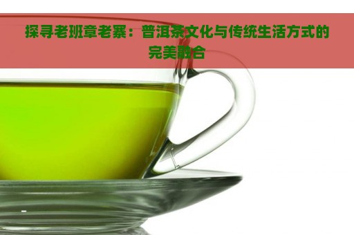 探寻老班章老寨：普洱茶文化与传统生活方式的完美融合