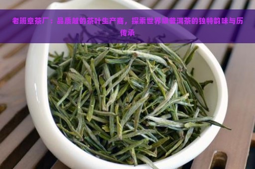 老班章茶厂：品质越的茶叶生产商，探索世界级普洱茶的独特韵味与历传承