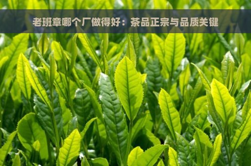 老班章哪个厂做得好：茶品正宗与品质关键