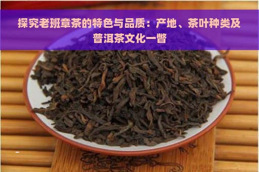 探究老班章茶的特色与品质：产地、茶叶种类及普洱茶文化一瞥