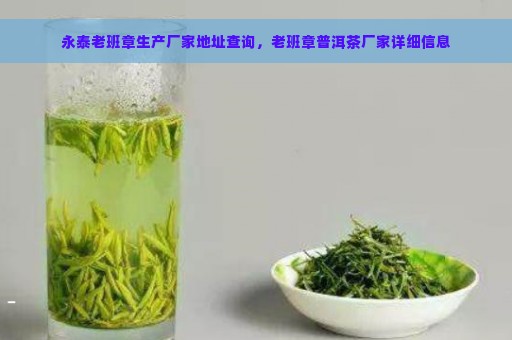 永泰老班章生产厂家地址查询，老班章普洱茶厂家详细信息