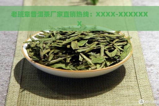 老班章普洱茶厂家直销热线：XXXX-XXXXXXX