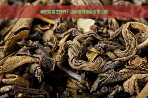 老班章茶王新元：探索普洱茶的未来之路