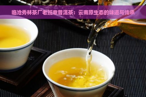 临沧秀林茶厂老班章普洱茶：云南原生态的味道与传承