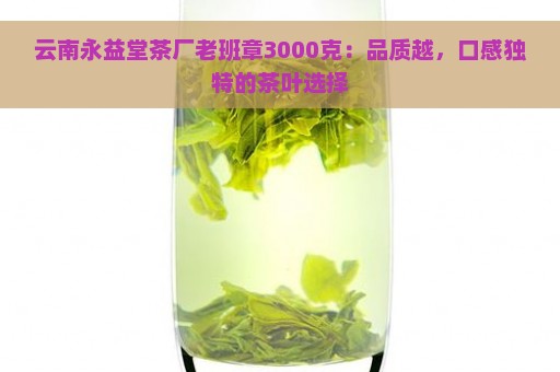 云南永益堂茶厂老班章3000克：品质越，口感独特的茶叶选择