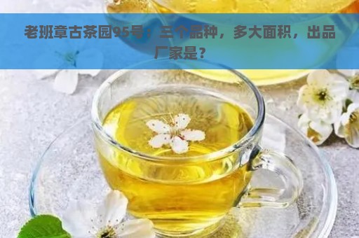 老班章古茶园95号：三个品种，多大面积，出品厂家是？