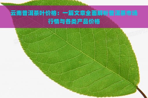 云南普洱茶叶价格：一篇文章全面解析普洱茶市场行情与各类产品价格