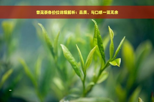 普洱茶各价位详细解析：品质、与口感一览无余