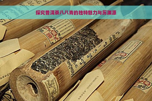 探究普洱茶八八青的独特魅力与历渊源