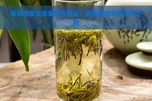 老班章茶业探索官方网站：勐海普洱茶的传承之路