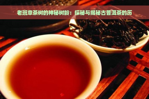 老班章茶树的神秘树龄：探秘与揭秘古普洱茶的历