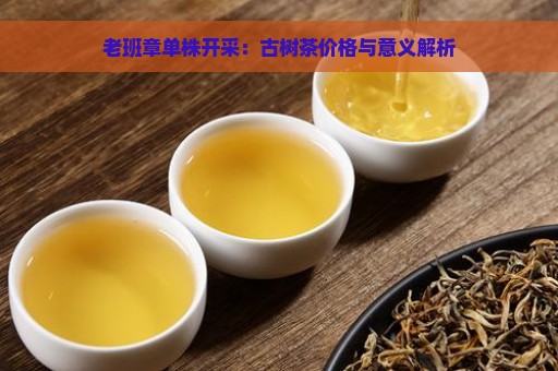 老班章单株开采：古树茶价格与意义解析