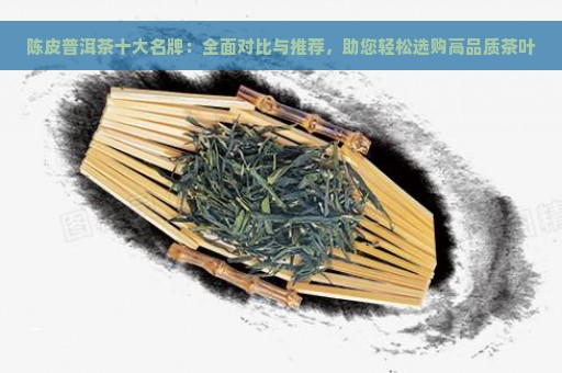 陈皮普洱茶十大名牌：全面对比与推荐，助您轻松选购高品质茶叶