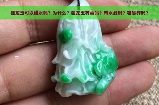 独龙玉可以碰水吗？为什么？独龙玉有毒吗？有水线吗？容易碎吗？