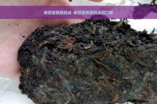 老班章熟茶特点-老班章熟茶特点和口感