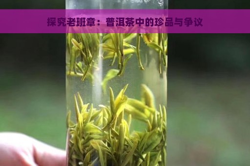 探究老班章：普洱茶中的珍品与争议