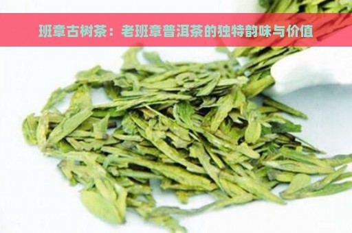 班章古树茶：老班章普洱茶的独特韵味与价值