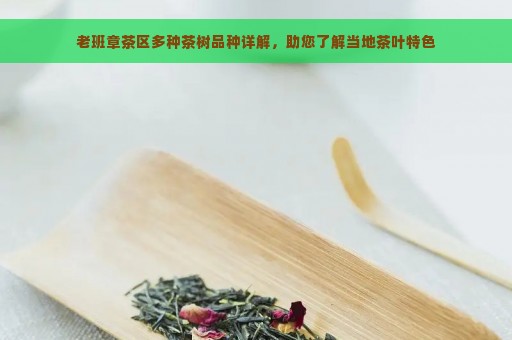 老班章茶区多种茶树品种详解，助您了解当地茶叶特色