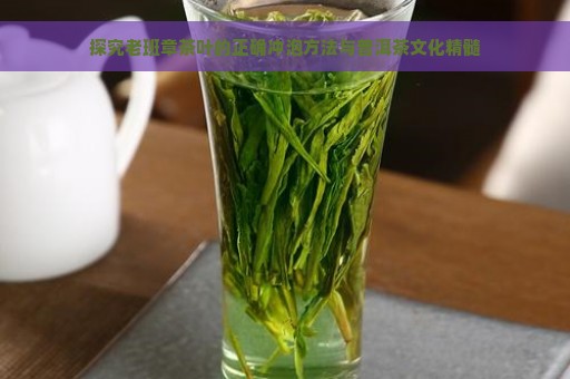 探究老班章茶叶的正确冲泡方法与普洱茶文化精髓