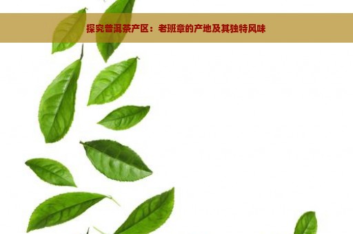 探究普洱茶产区：老班章的产地及其独特风味