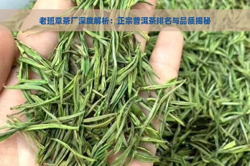 老班章茶厂深度解析：正宗普洱茶排名与品质揭秘