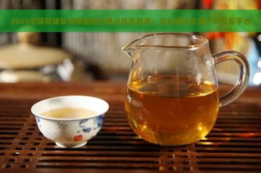 2020年薄荷塘普洱茶最新价格与批发指南：古树生茶货源分析阿里平台