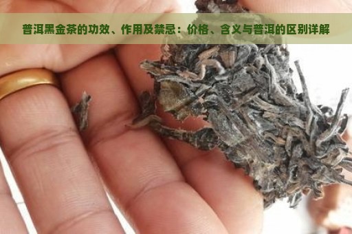 普洱黑金茶的功效、作用及禁忌：价格、含义与普洱的区别详解