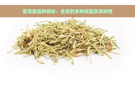 普洱茶品种解析：生茶的多种类型及其特性