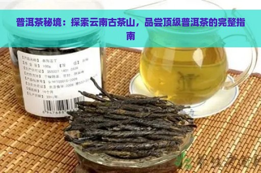 普洱茶秘境：探索云南古茶山，品尝顶级普洱茶的完整指南