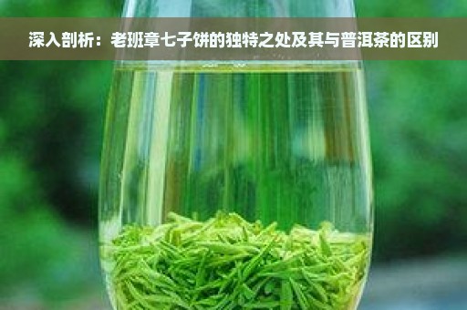 深入剖析：老班章七子饼的独特之处及其与普洱茶的区别