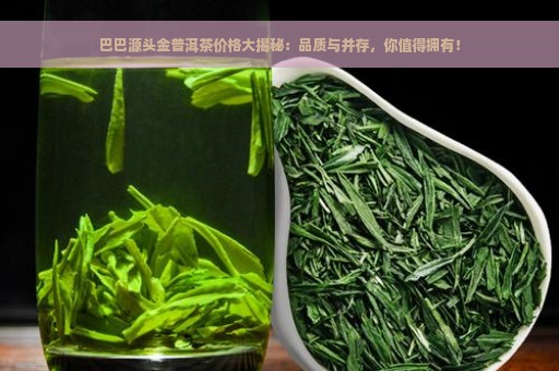 巴巴源头金普洱茶价格大揭秘：品质与并存，你值得拥有！