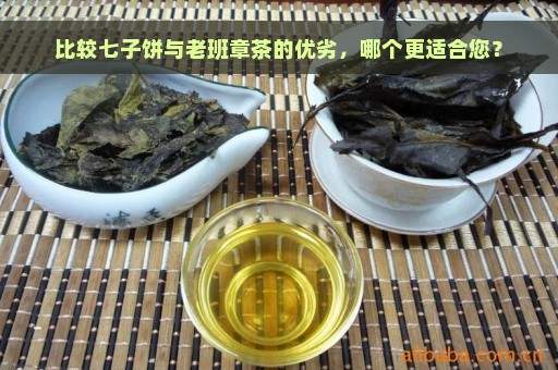 比较七子饼与老班章茶的优劣，哪个更适合您？