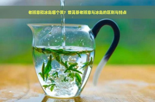 老班章和冰岛哪个贵？普洱茶老班章与冰岛的区别与特点