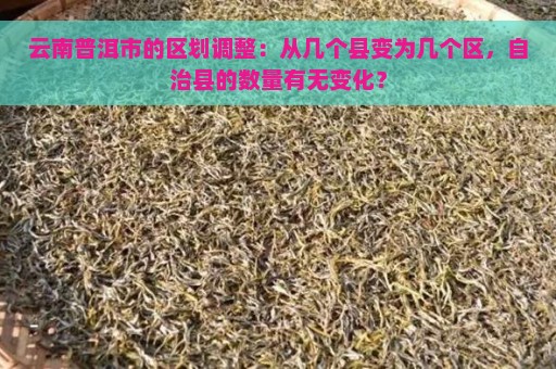 云南普洱市的区划调整：从几个县变为几个区，自治县的数量有无变化？