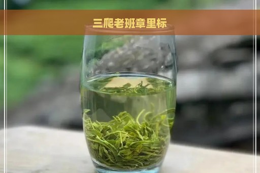 三爬老班章里标