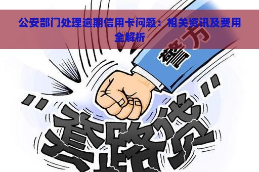 公安部门处理逾期信用卡问题：相关资讯及费用全解析