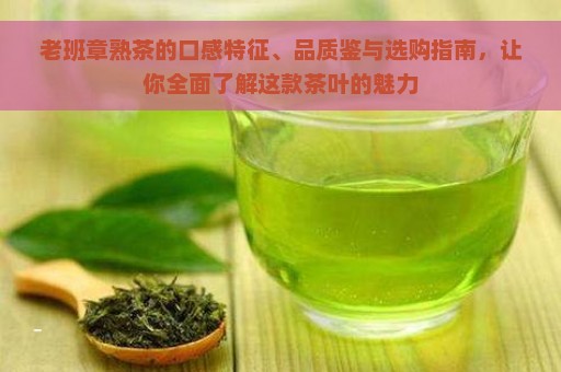 老班章熟茶的口感特征、品质鉴与选购指南，让你全面了解这款茶叶的魅力