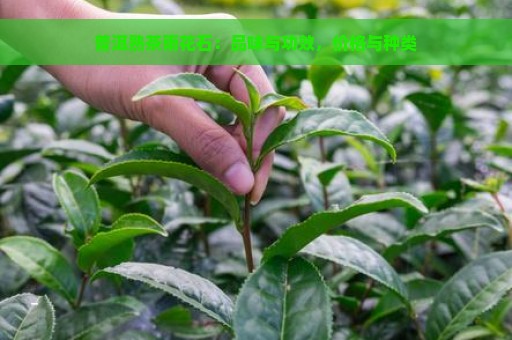 普洱熟茶雨花石：品味与功效，价格与种类