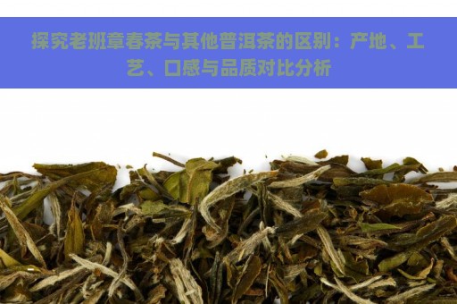 探究老班章春茶与其他普洱茶的区别：产地、工艺、口感与品质对比分析