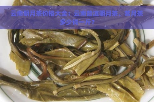 云南明月茶价格大全：云南普洱明月茶、茗月茶多少钱一斤？