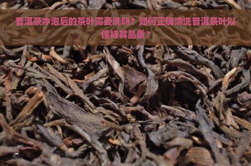 普洱茶冲泡后的茶叶需要洗吗？如何正确清洗普洱茶叶以保持其品质？