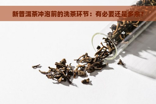 新普洱茶冲泡前的洗茶环节：有必要还是多余？