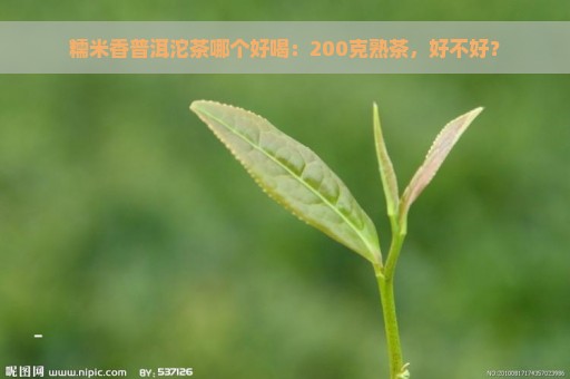 糯米香普洱沱茶哪个好喝：200克熟茶，好不好？