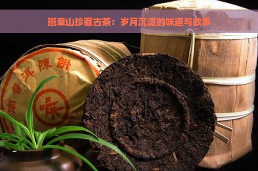 班章山珍藏古茶：岁月沉淀的味道与故事