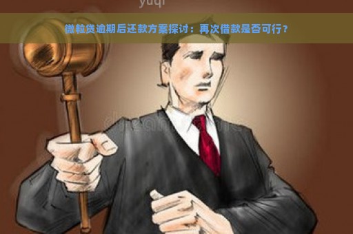 微粒贷逾期后还款方案探讨：再次借款是否可行？