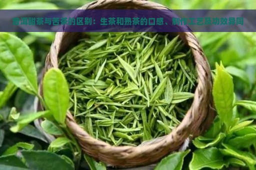 普洱甜茶与苦茶的区别：生茶和熟茶的口感、制作工艺及功效异同