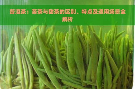 普洱茶：苦茶与甜茶的区别、特点及适用场景全解析