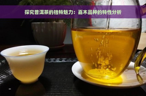 探究普洱茶的独特魅力：嘉木品种的特性分析