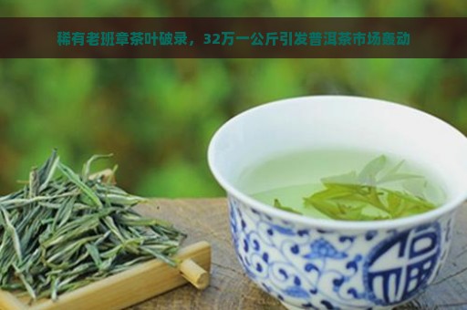 稀有老班章茶叶破录，32万一公斤引发普洱茶市场轰动